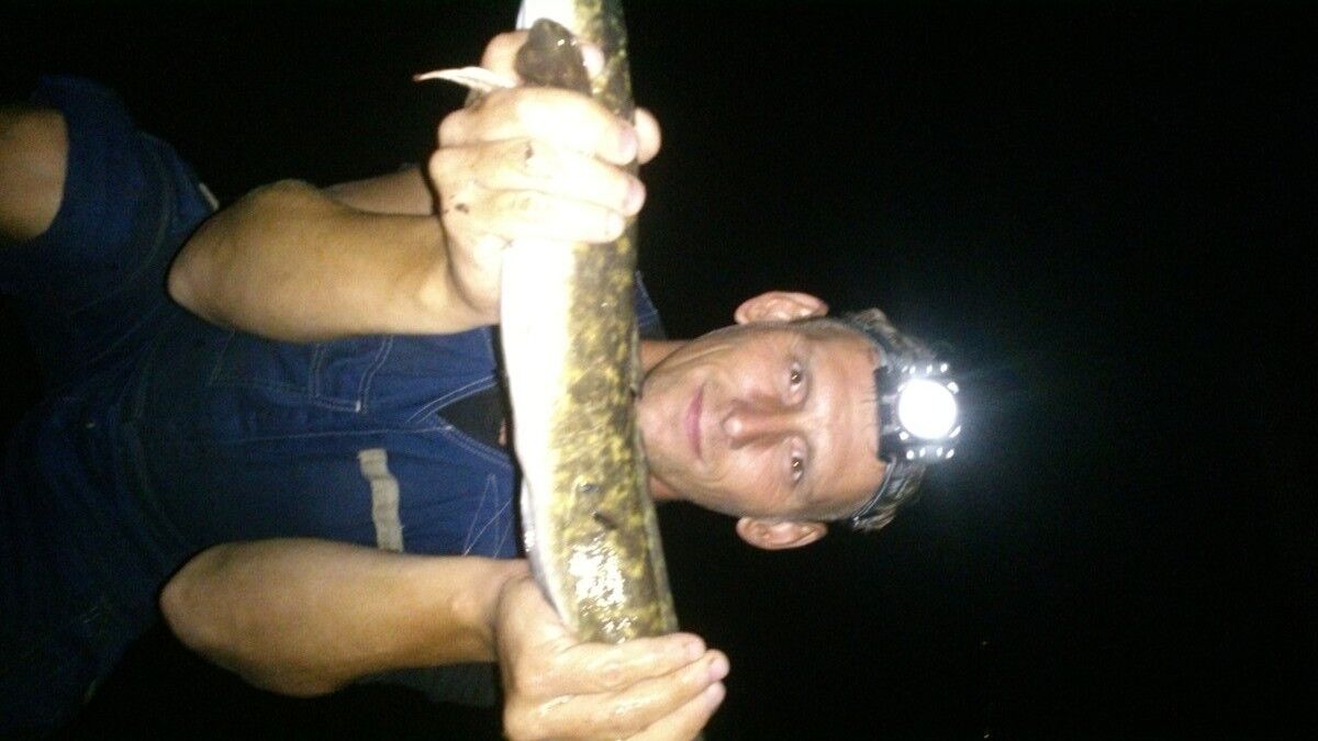 ���� 8134743 ������� Alex, 46 ���, ���� ���������� � ������������