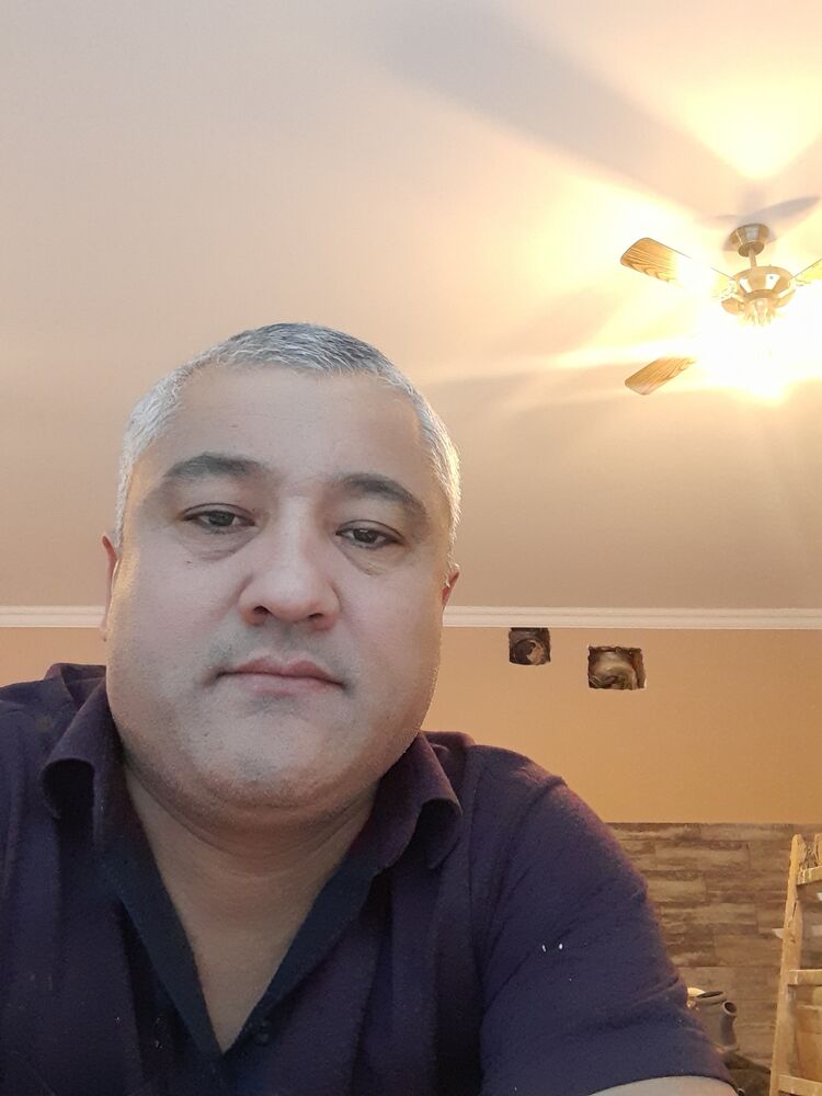  38368283  , 49 ,    