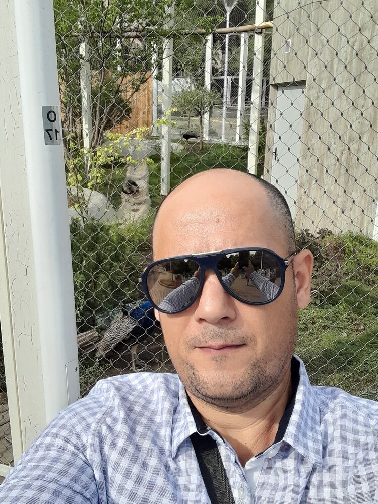  39682083  , 45 ,    