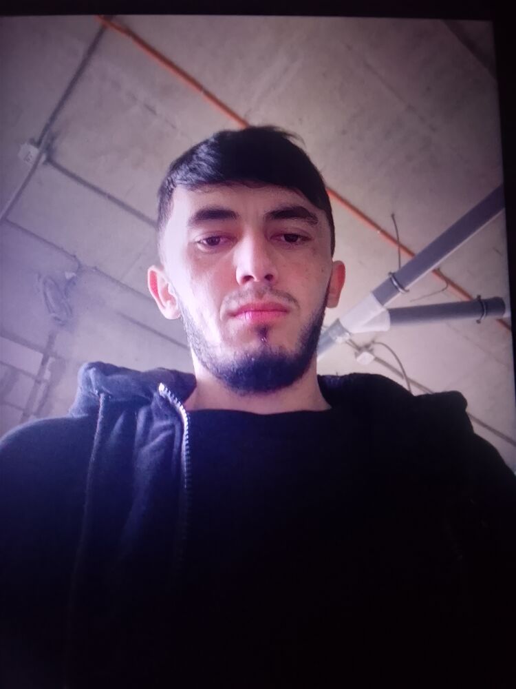 ���������� ������, ���� ������� Shamil, 26 ���, ������������ ��� ������, ����� � ���������