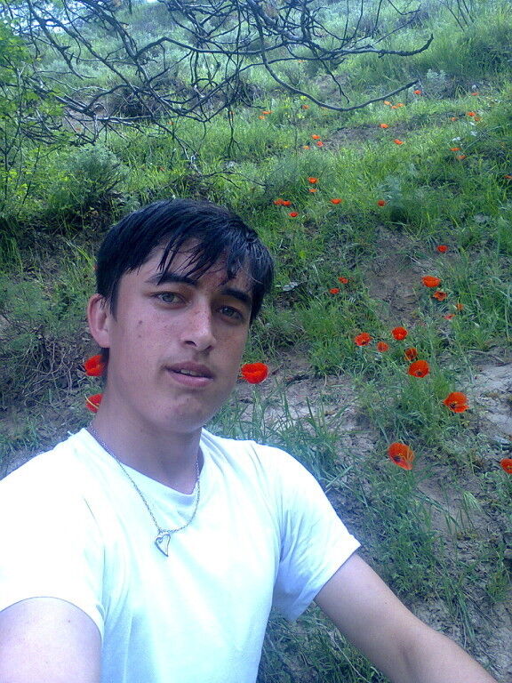 ���������� �������, ���� ������� Jasur, 31 ���, ������������ ��� ������, ����� � ���������, c�������� ���������