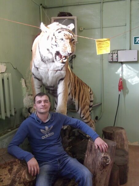 ���� 40093943 ������� ����, 38 ���, ���� ���������� � �����-����������