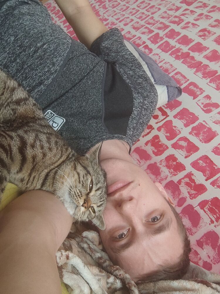 ���������� ������, ���� ������� �������, 27 ���, ������������ ��� ������, ����� � ���������, c�������� ���������, ���������