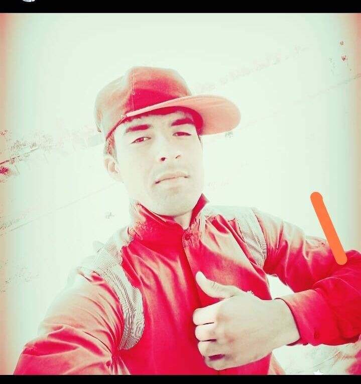 ���������� ������, ���� ������� SALMON, 26 ���, ������������ ��� ������, ����� � ���������, c�������� ���������