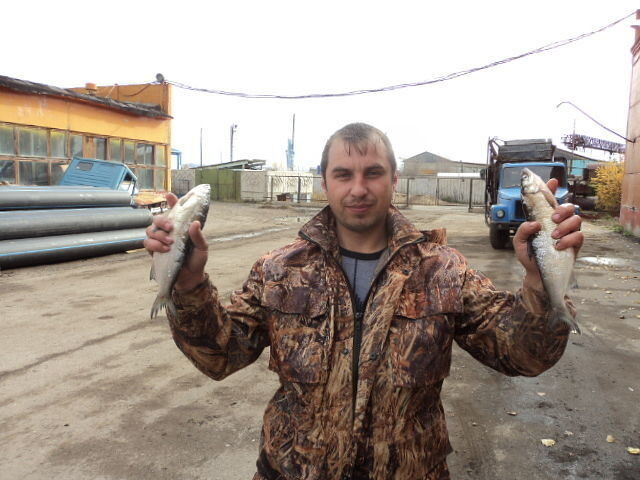 ���� 19486573 ������� ����, 43 ����, ���� ���������� � ���������