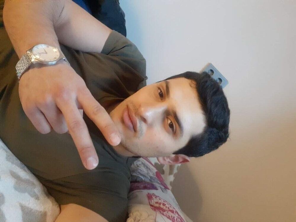  33697693  , 31 ,     