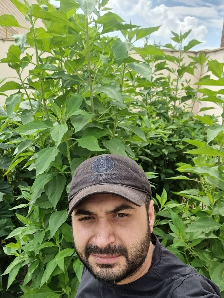 ���� 28026073 ������� ���������, 34 ����, ���� ���������� � ����������