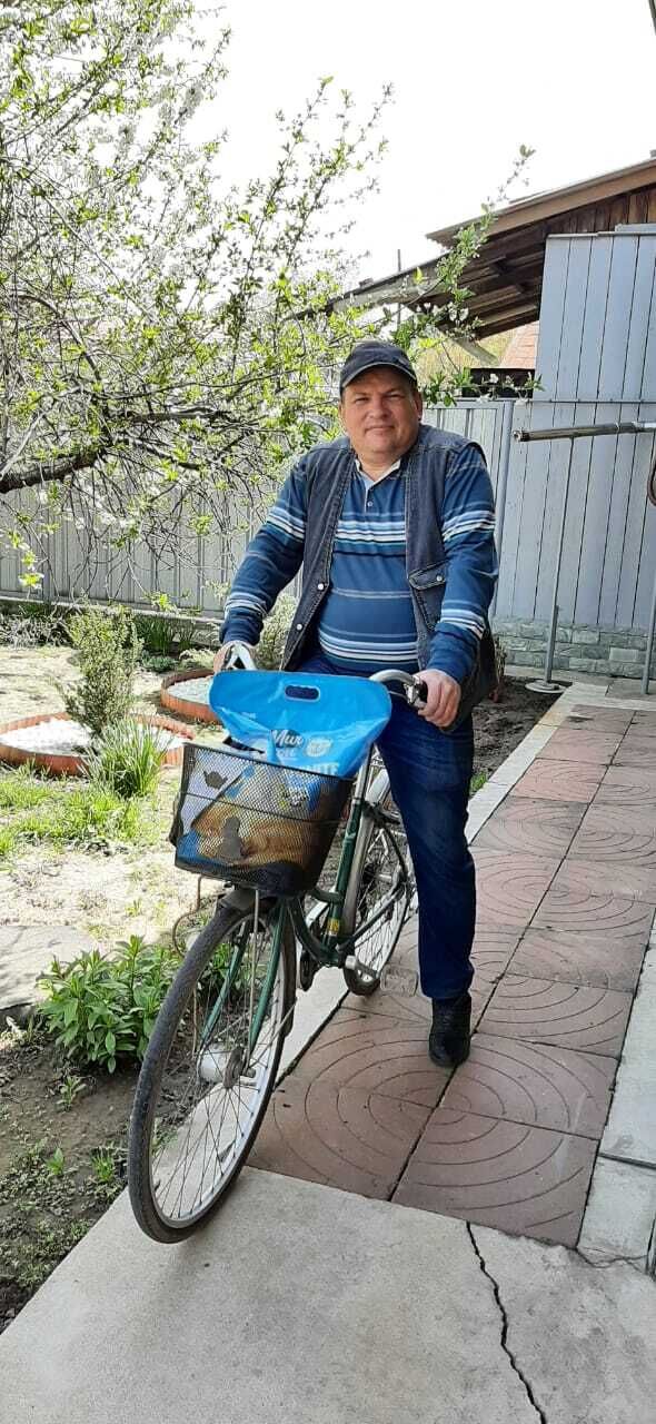 ���� 25960033 ������� ������, 50 ���, ���� ���������� � ������