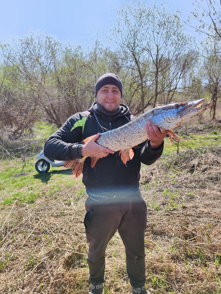 ���������� �����������, ���� ������� ������, 46 ���, ������������ ��� ������, ����� � ���������, c�������� ���������