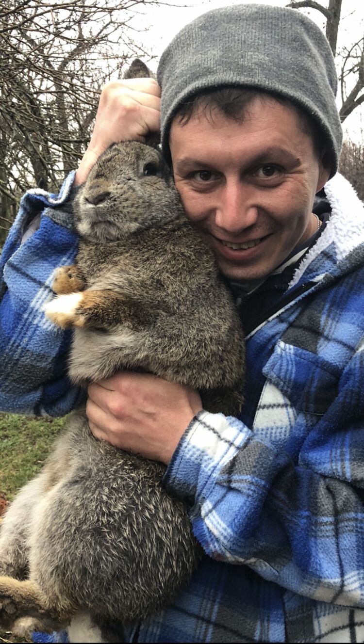 ���������� ������, ���� ������� ˸��, 41 ���, ������������ ��� ������, ����� � ���������, c�������� ���������, ���������