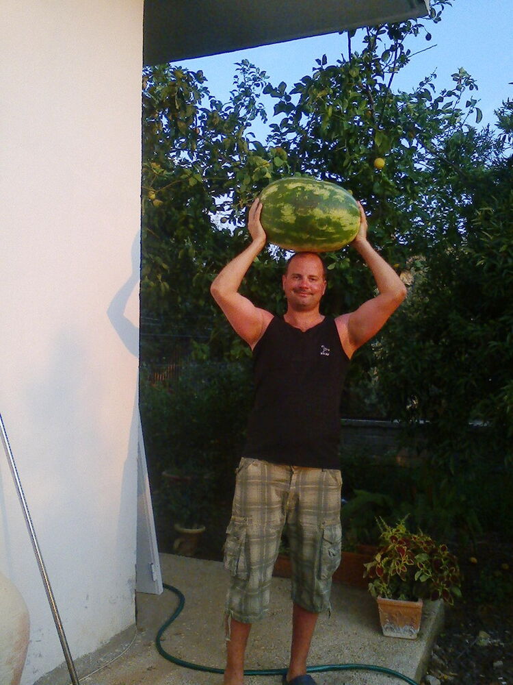 ���������� �������, ���� ������� ALEXANDRU, 44 ����, ������������ ��� ������, ����� � ���������, c�������� ���������