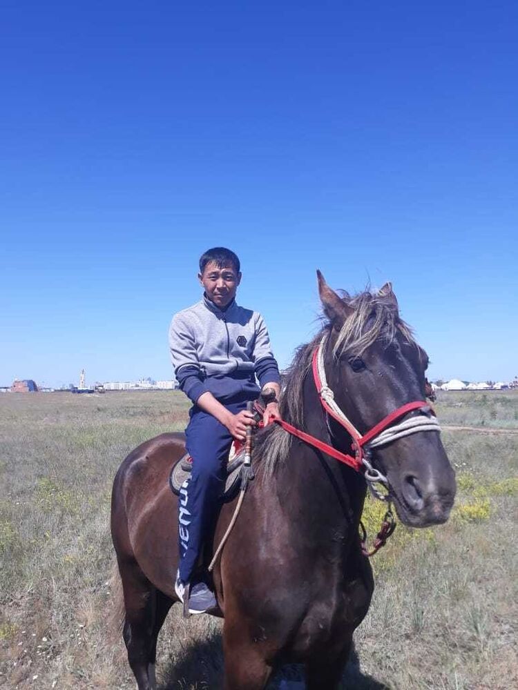 ���������� ������, ���� ������� Muxan, 38 ���, ������������ ��� ������, ����� � ���������, c�������� ���������