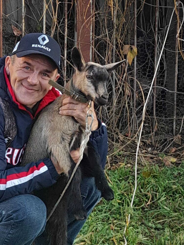 ���� 50388153 ������� ����, 52 ����, ���� ���������� � ������