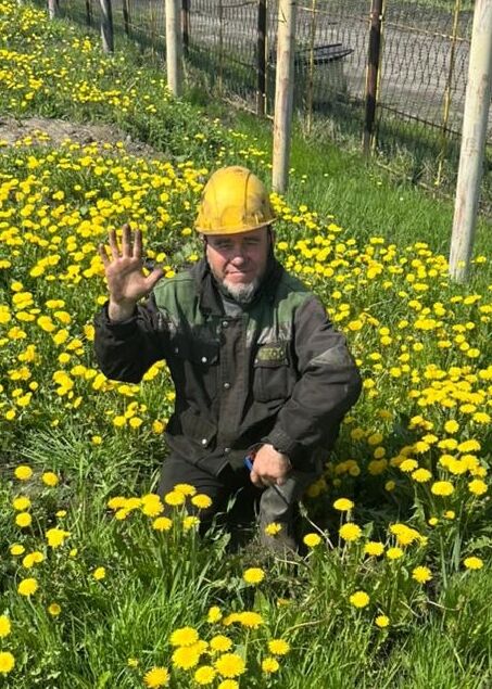 ���������� ������������, ���� ������� �����, 60 ���, ������������ ��� c�������� ���������