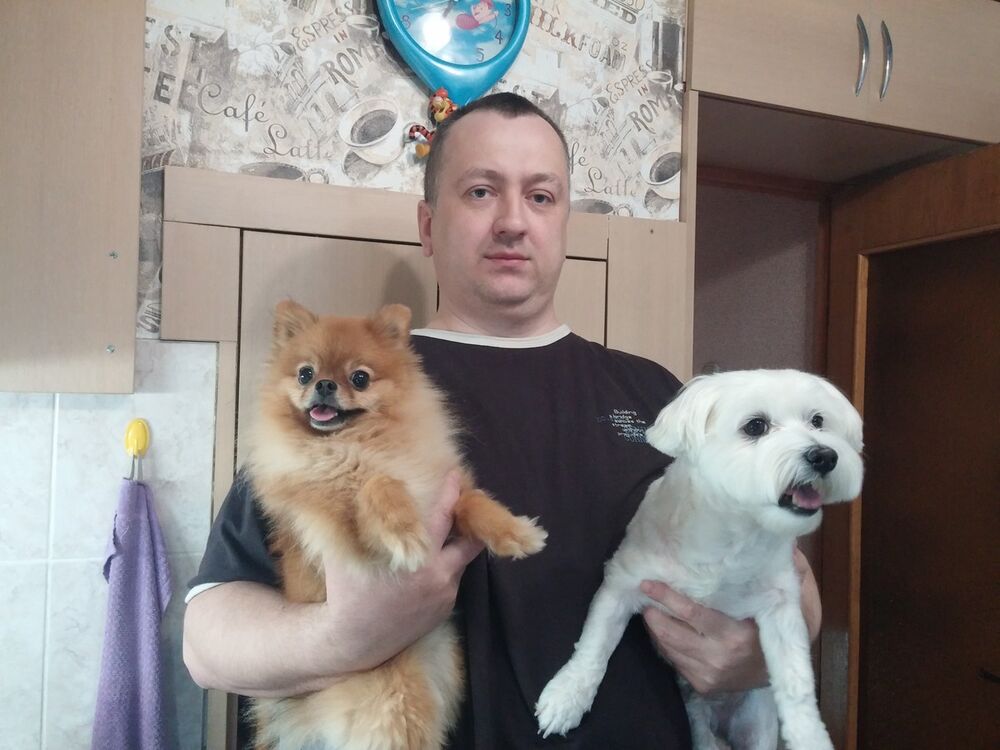 ���� 19297393 ������� ������, 50 ���, ���� ���������� � ������