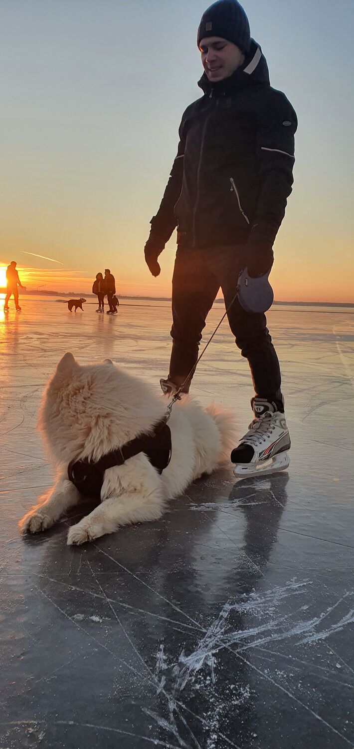 ���� 25789963 ������� �������, 30 ���, ���� ���������� � ��������