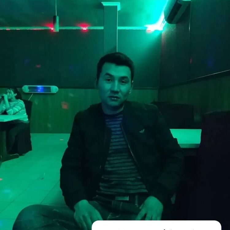  53806173  , 24 ,    -