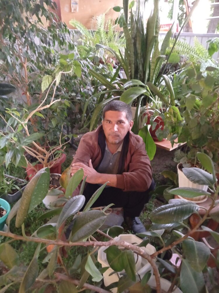 ,   , 45 ,   ,   