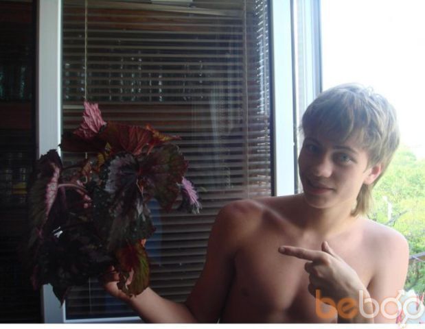 ���������� �����������, ���� ������� �����, 33 ����, ������������ 