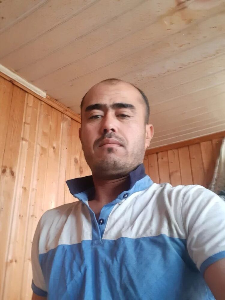  42873133  , 43 ,    