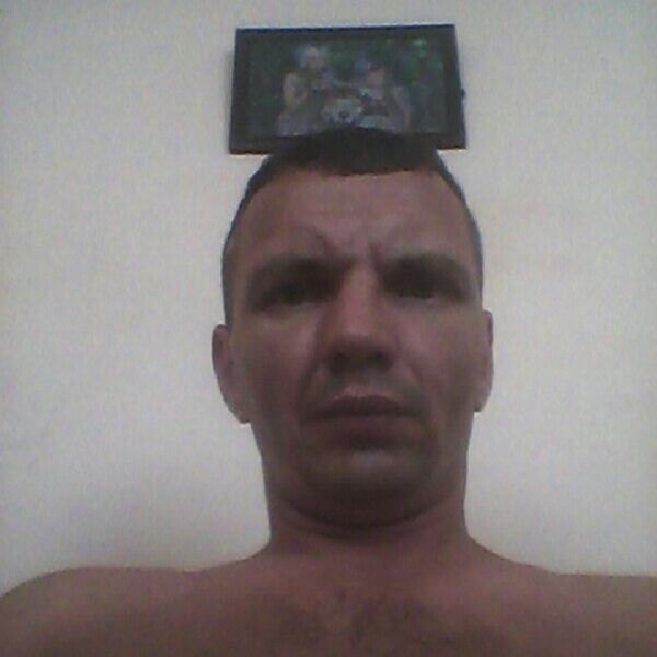 39973503  , 46 ,    