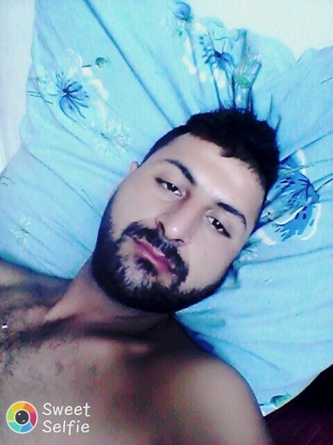  43160583  , 32 ,    