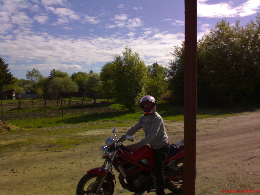 ���� 4867673 ������� ������, 38 ���, ���� ���������� � �������������