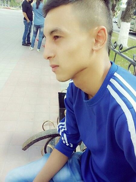 ���� 7133413 ������� ������, 33 ����, ���� ���������� � ���������