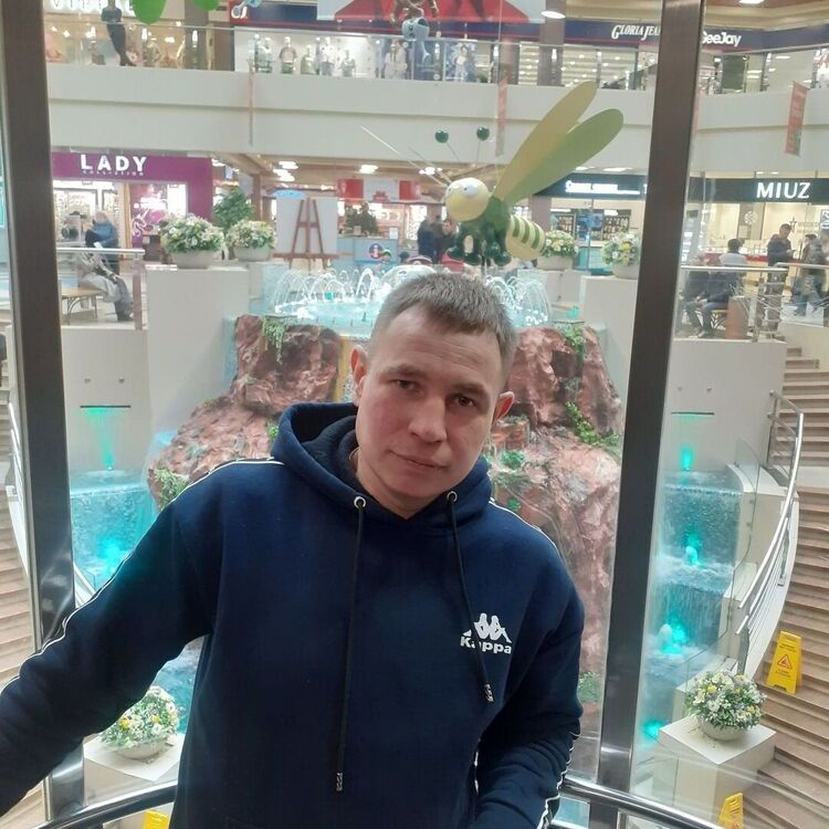  36578673  , 38 ,    