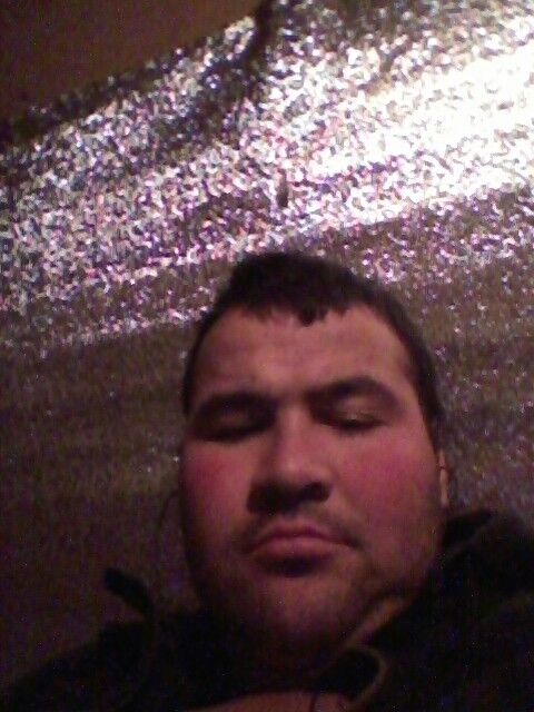 ���� 8555693 ������� ��������, 40 ���, ���� ���������� � �����-����������