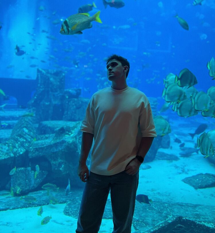 ���������� ����������, ���� ����� ��������, 23 ����, ������������ ��� ������, ����� � ���������