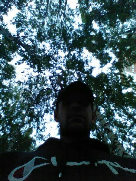 ���������� �����, ���� ������� �����, 37 ���, ������������ ��� ����� � ���������, c�������� ���������