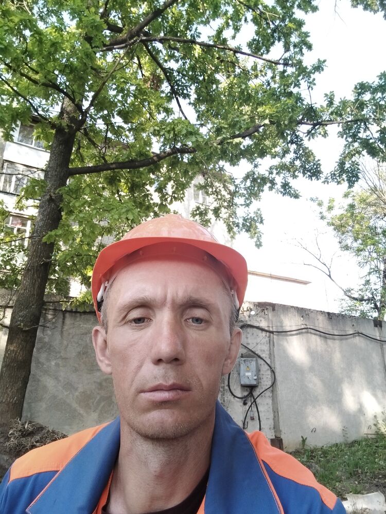  43582273  , 41 ,    