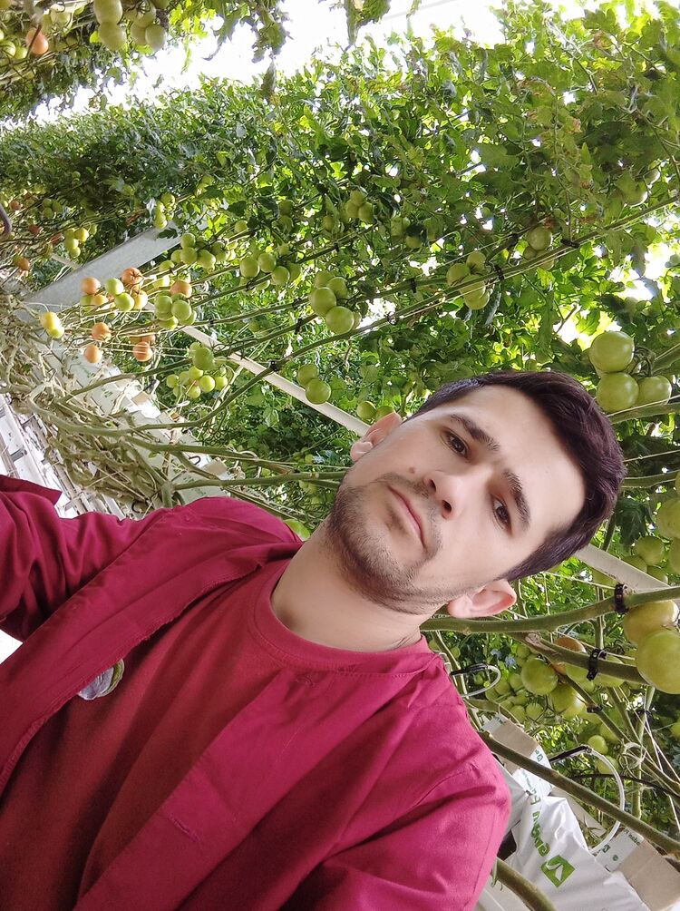 ���� 36733153 ������� ������, 32 ����, ���� ���������� � �����-����������