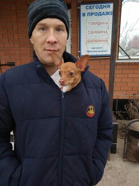 ���������� ��������, ���� ������� ����, 41 ���, ������������ ��� ������, ����� � ���������