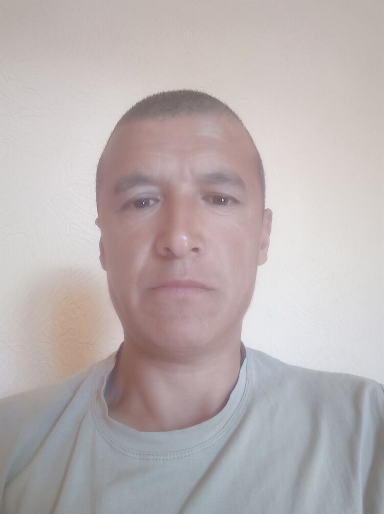  44260583  , 45 ,    