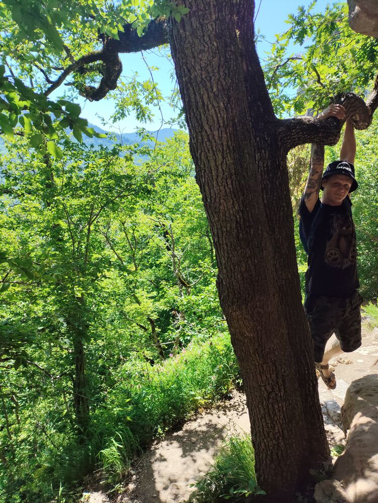 ���������� ���������, ���� ������� �����, 43 ����, ������������ ��� ������, ����� � ���������, c�������� ���������