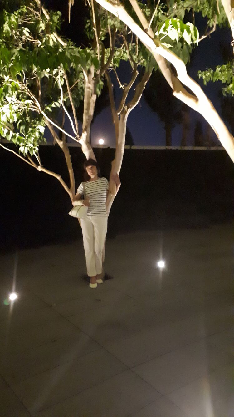 ���������� ���������, ���� ������� �����, 50 ���, ������������ ��� c�������� ���������