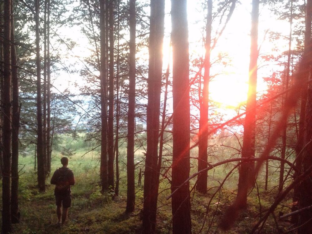 ���������� ������, ���� ������� ������, 35 ���, ������������ 