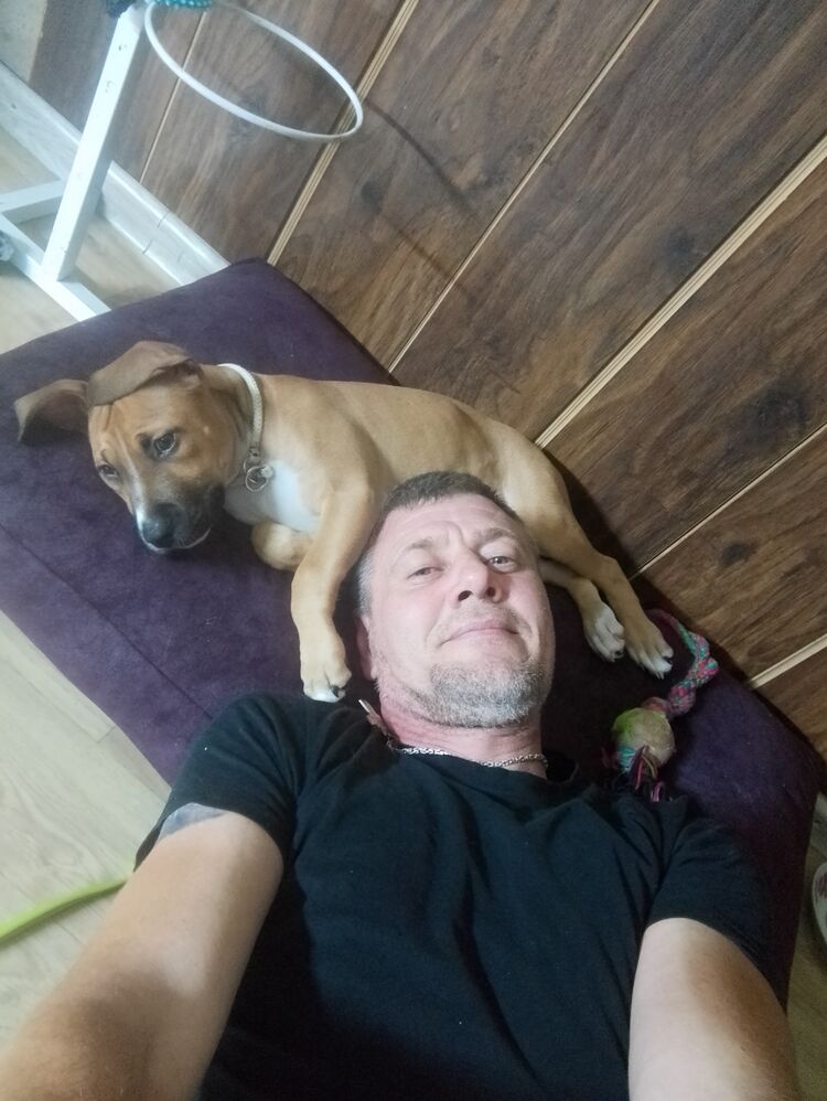  ,   , 45 ,   ,   , 