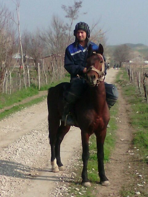 ���������� �����-���������, ���� ������� �������, 36 ���, ������������ ��� ������, ����� � ���������