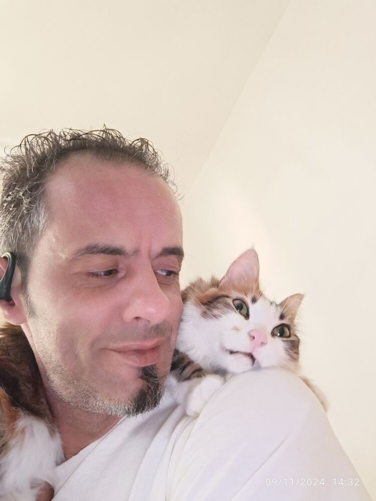  Tlemcen,   Redwan, 44 ,   ,   , c 