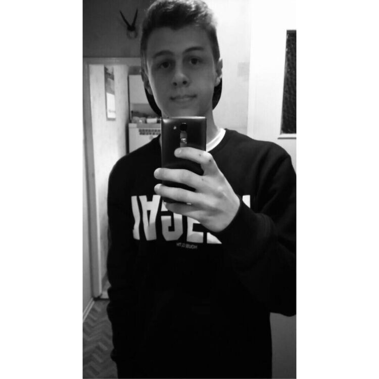  38781913  , 30 ,    