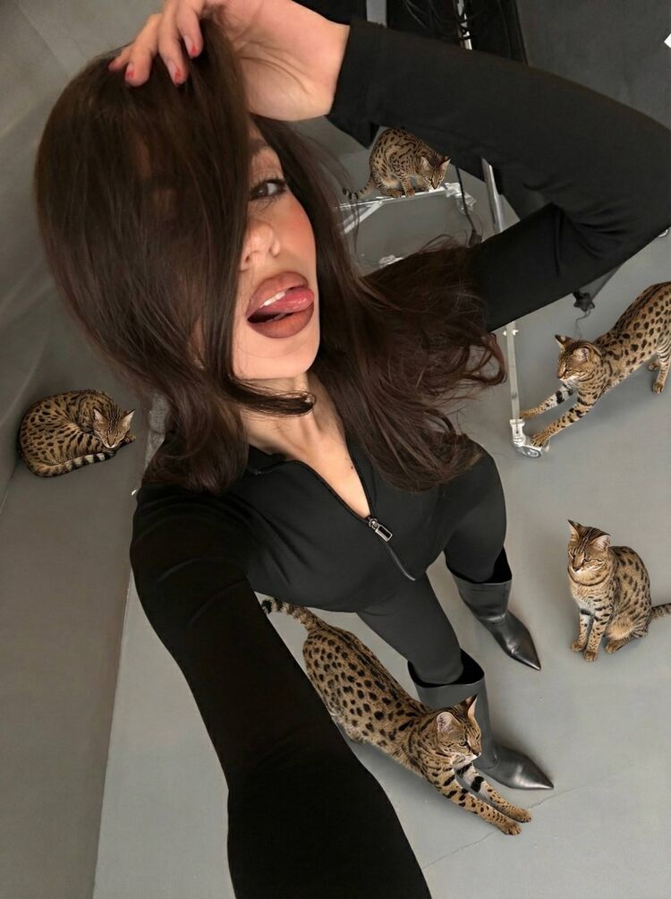 ���� 54948483 ������� ������, 24 ����, ���� ���������� � ������������