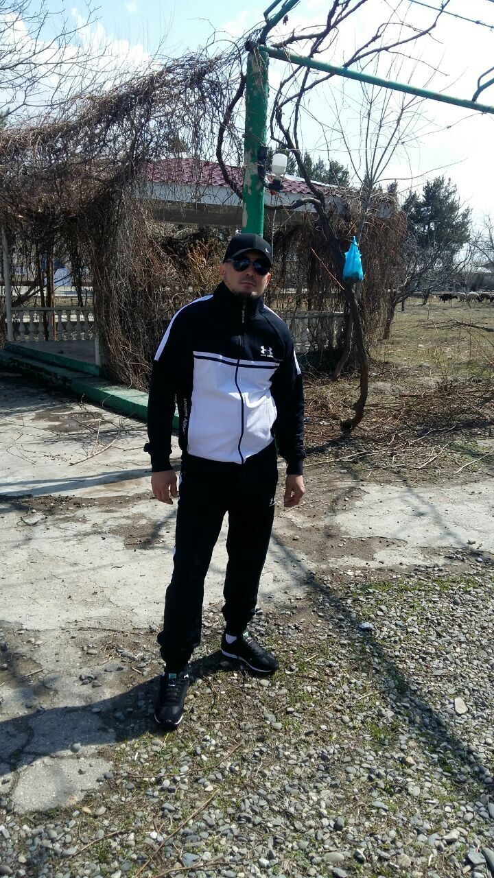  24304133  , 43 ,    