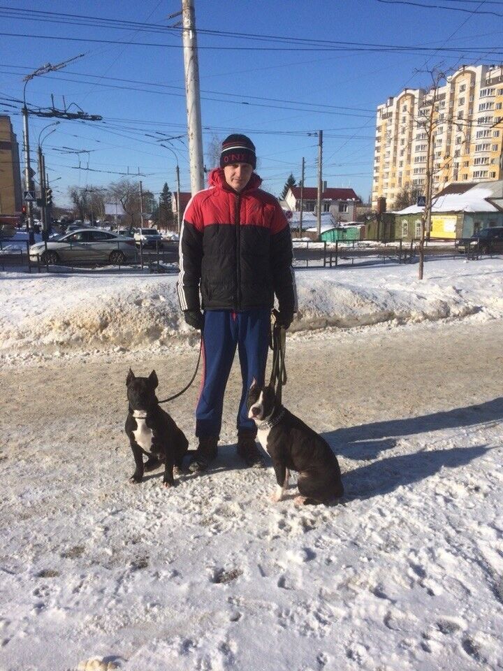 ���������� ������, ���� ������� Igor, 38 ���, ������������ 