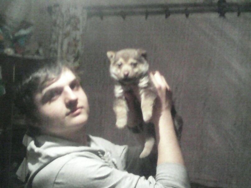 ���� 19503573 ������� ����, 31 ���, ���� ���������� � ��������