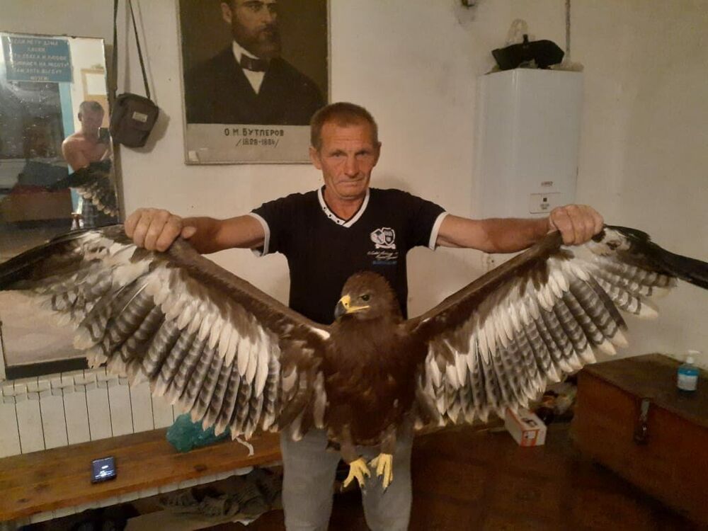  ,   , 59 ,   ,   