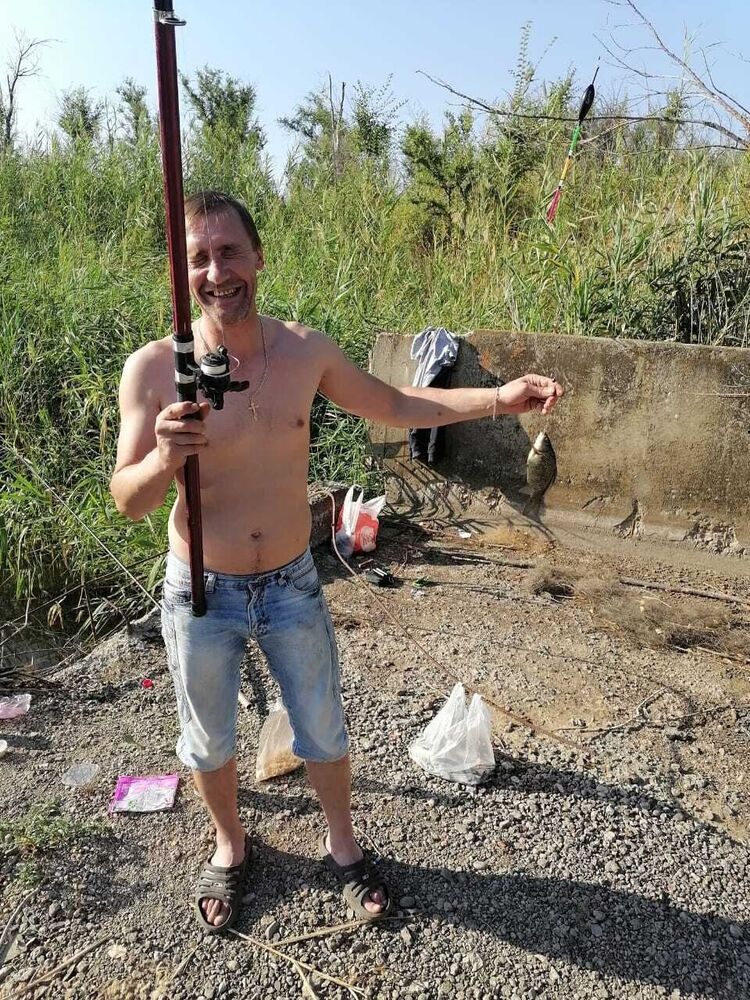  43275833  , 43 ,    -