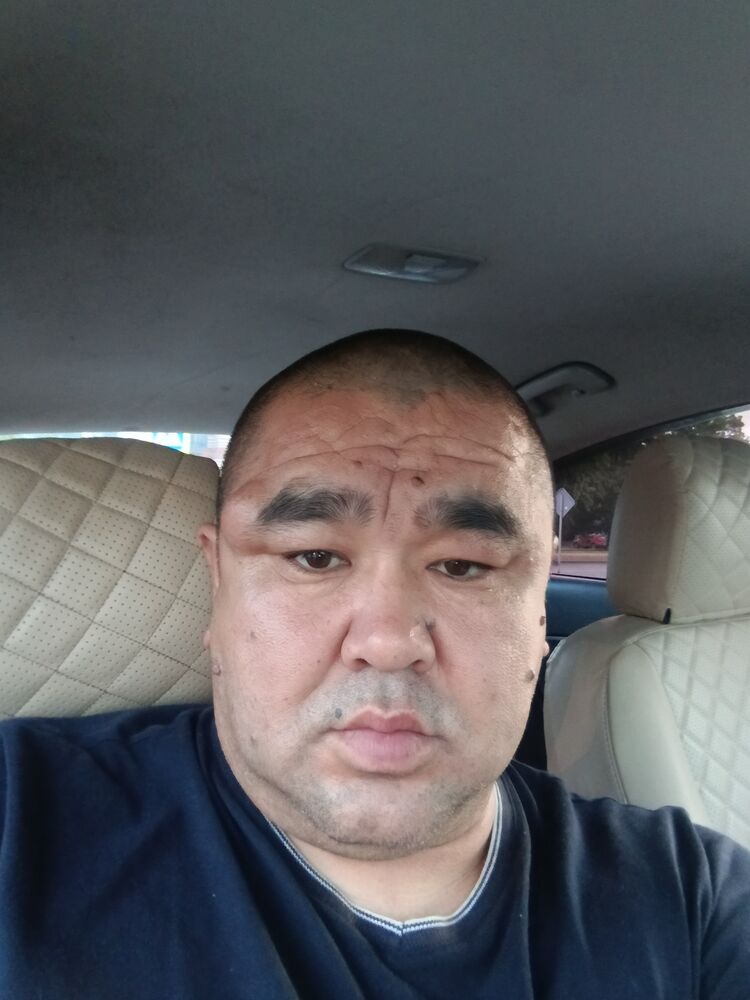  40793243  , 42 ,    
